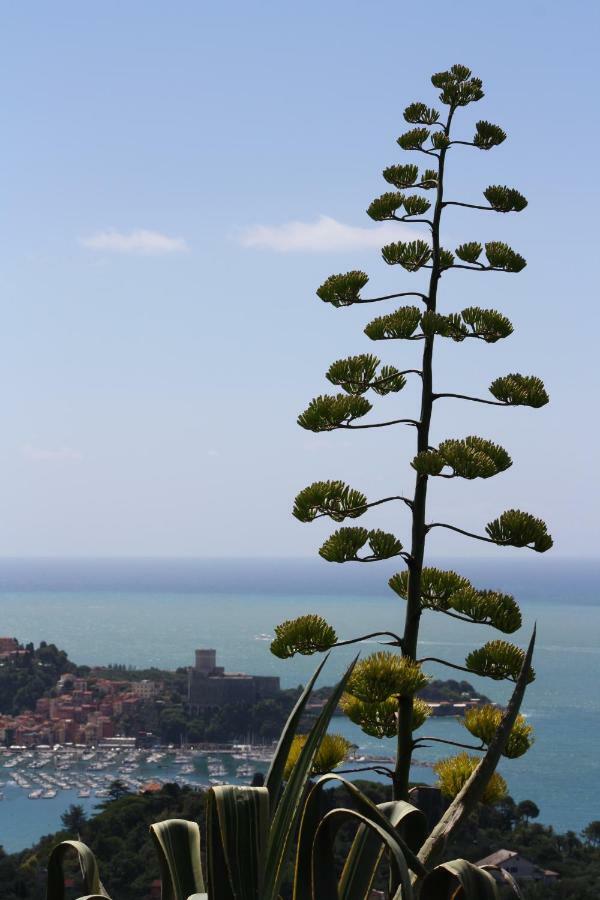 Вилла Agave Di Леричи Экстерьер фото
